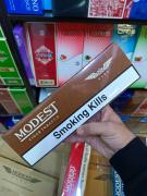 Сигареты Modest Cigar Tobacco Nano (сигарный табак)